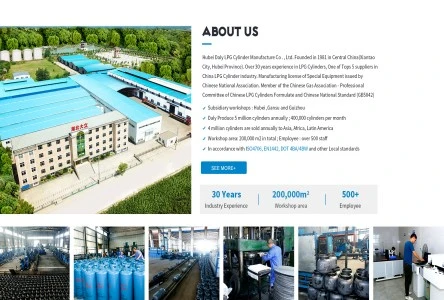 Over30years Pieredze LPG Cilindri